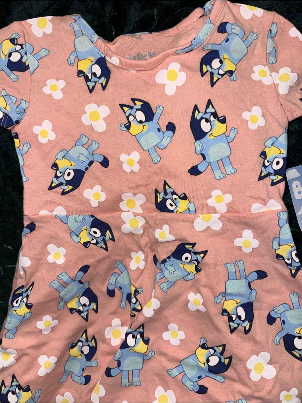 Girls Pink Bluey Floral Short-Sleeve Dress